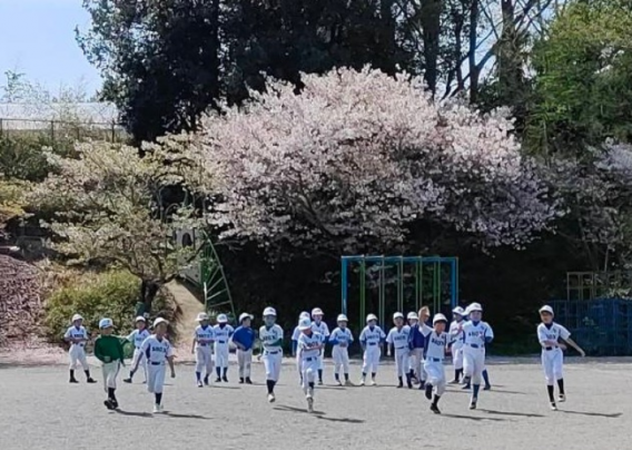 桜をバックにみんなで練習しました